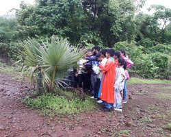Std VI Field Trip - Sanjay Gandhi national Park